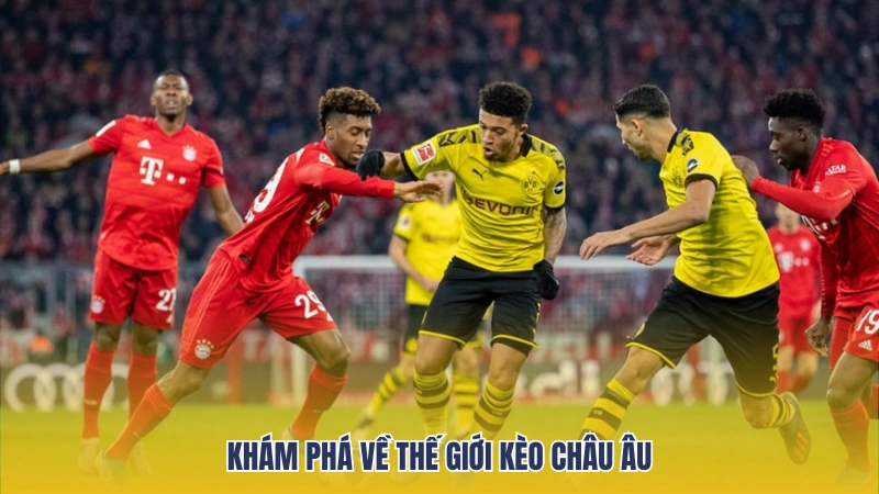 Khám phá về tỷ lệ kèo châu Âu trong cá cược bóng đá
